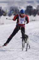 Lenk 2013